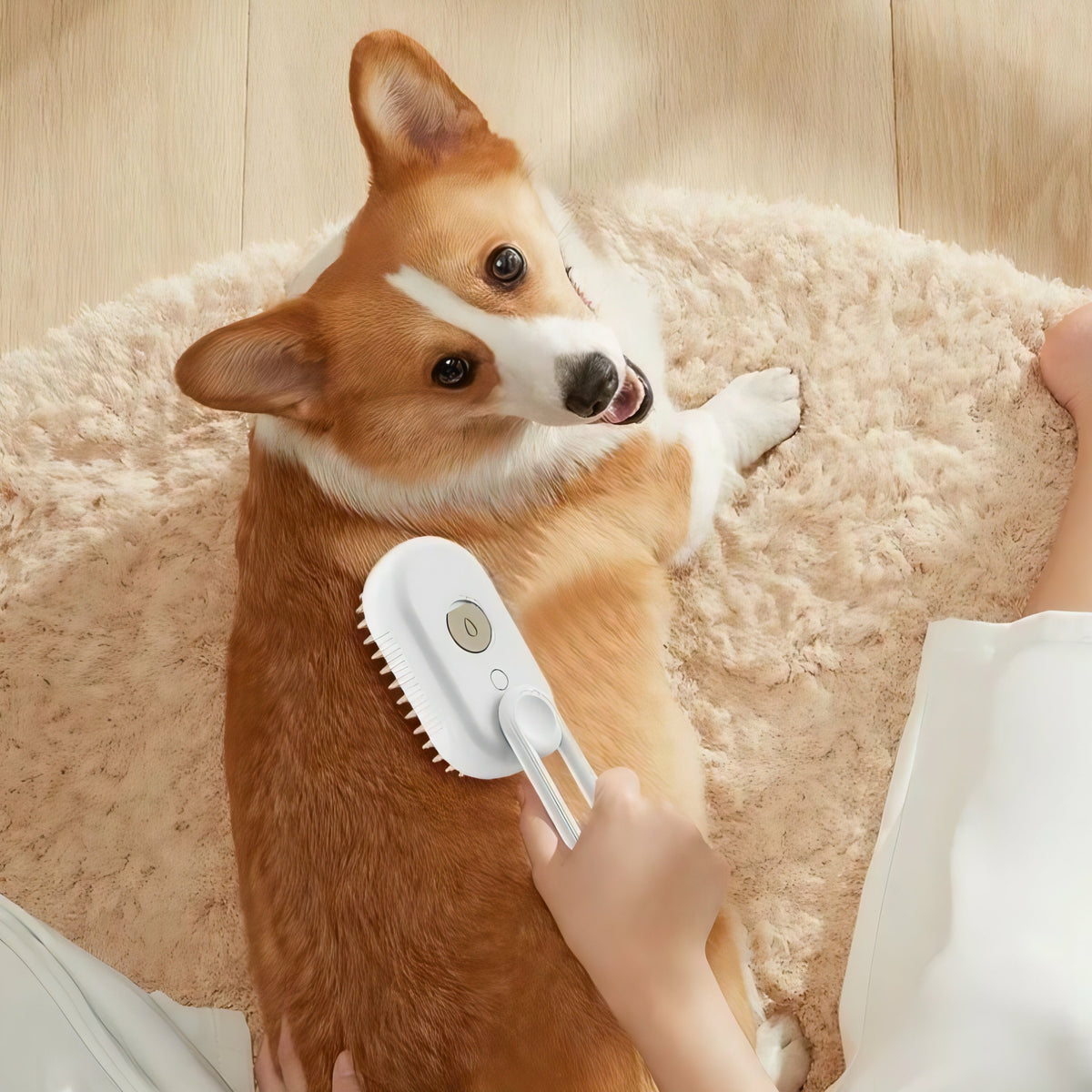 3-in-1 Steam Pet Grooming Brush
