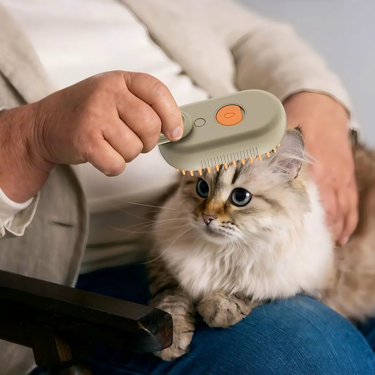3-in-1 Steam Pet Grooming Brush