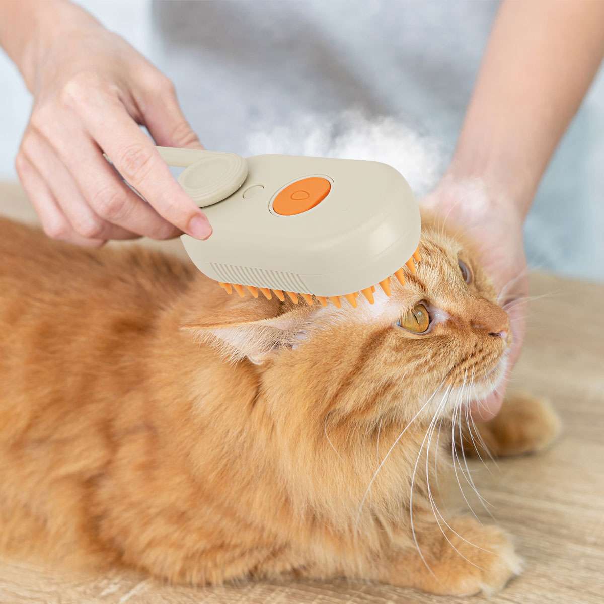 3-in-1 Steam Pet Grooming Brush