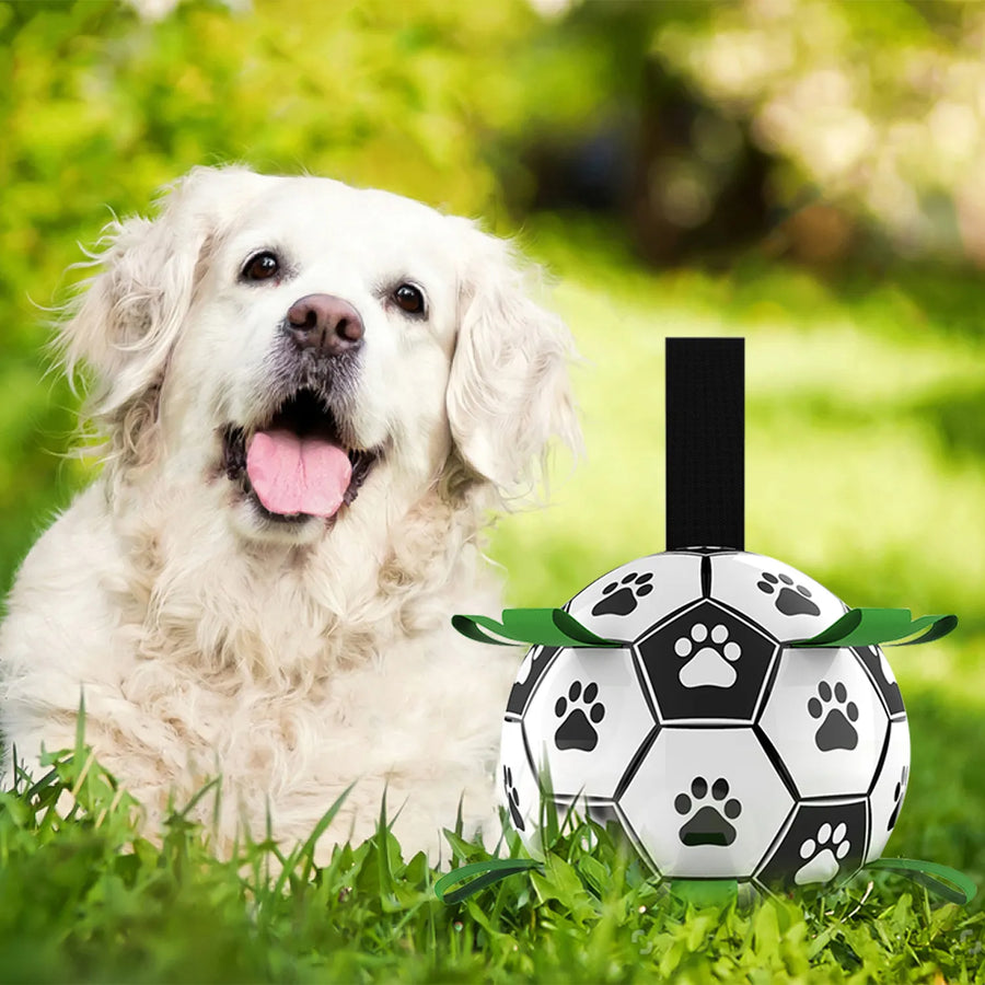 Interactive Dog Soccer Ball with Grab Tabs