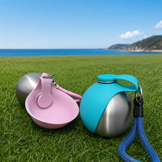 2-in-1 Portable Dog Water Bottle